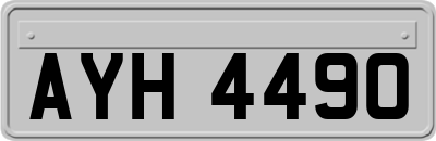 AYH4490