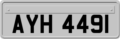 AYH4491