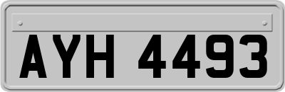 AYH4493