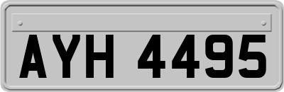 AYH4495