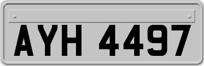 AYH4497