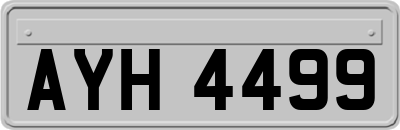 AYH4499