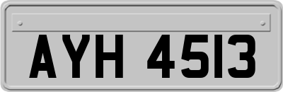 AYH4513