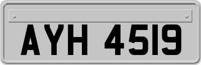 AYH4519