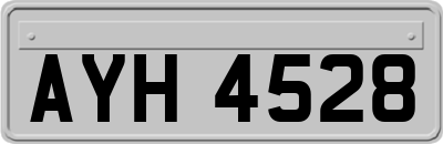 AYH4528