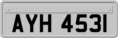 AYH4531