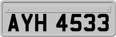 AYH4533