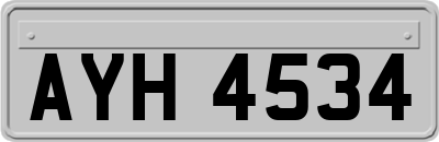 AYH4534