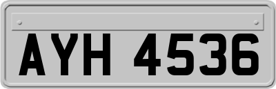 AYH4536
