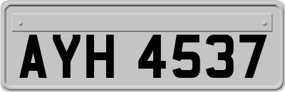 AYH4537