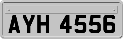 AYH4556