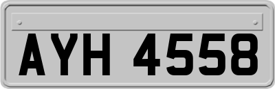 AYH4558