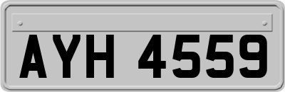 AYH4559
