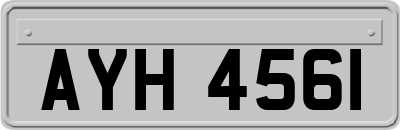 AYH4561