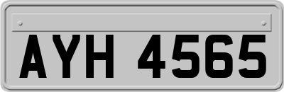 AYH4565