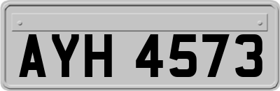 AYH4573