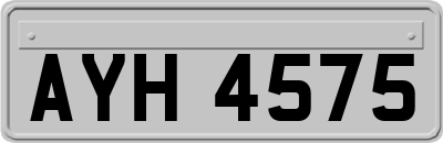 AYH4575