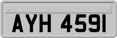 AYH4591
