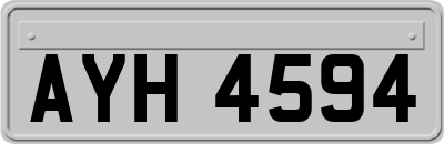 AYH4594