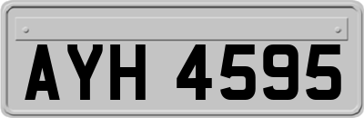 AYH4595