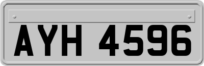 AYH4596