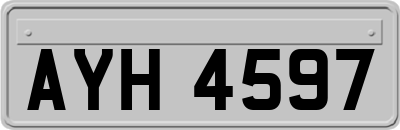 AYH4597
