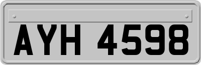 AYH4598