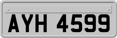 AYH4599