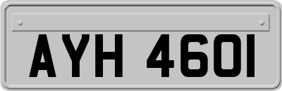 AYH4601