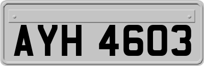 AYH4603