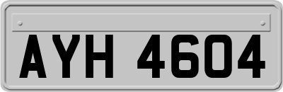 AYH4604