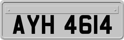 AYH4614