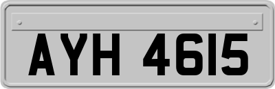 AYH4615