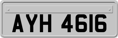 AYH4616