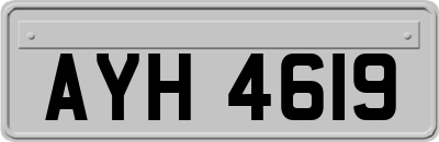 AYH4619