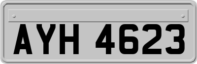 AYH4623