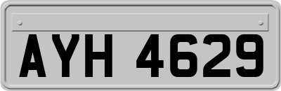 AYH4629