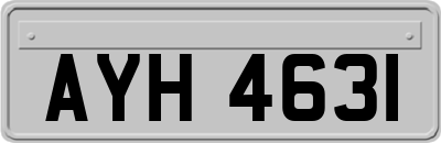 AYH4631