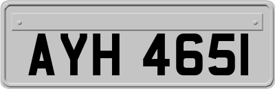 AYH4651