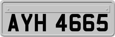AYH4665