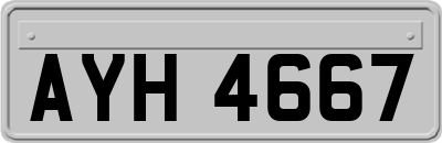 AYH4667