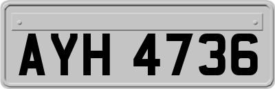 AYH4736