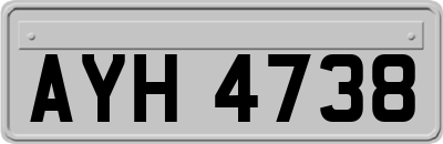 AYH4738