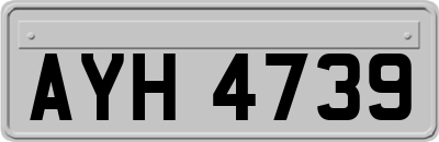 AYH4739