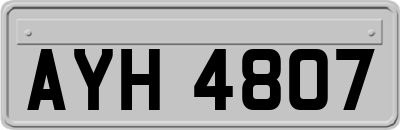 AYH4807