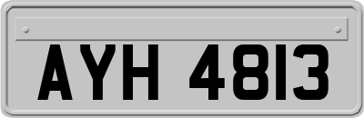 AYH4813