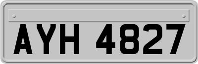 AYH4827