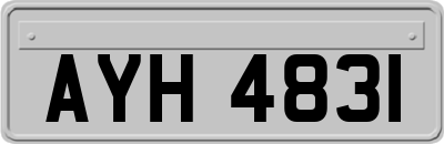 AYH4831