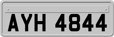 AYH4844