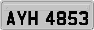AYH4853